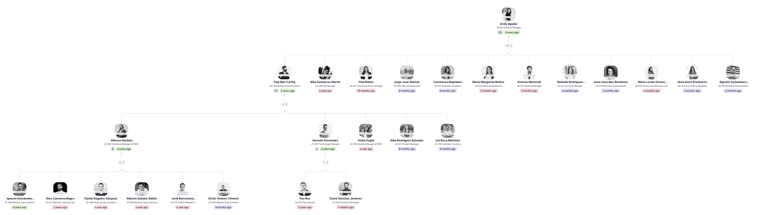 team organisational chart