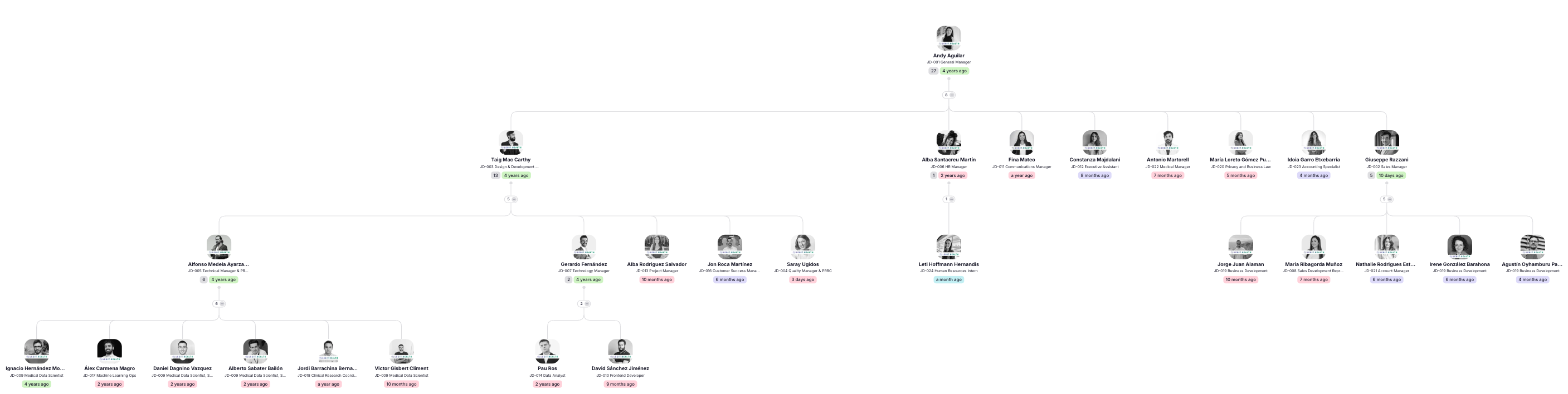 team organisational chart